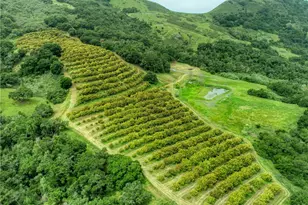 7515 Santa Rosa Creek Rd, Cambria, CA 93428 - Photo 35