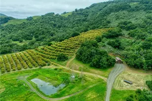 7515 Santa Rosa Creek Rd, Cambria, CA 93428 - Photo 37