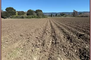 130 Cowles Rd, Watsonville, CA 95076 - Photo 3