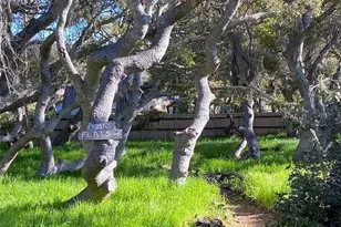 1595 Los Osos Valley Road, Los Osos, CA 93402 - Photo 39