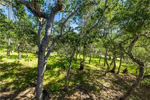 1840 Langton St, Cambria, CA 93428 - Photo 45