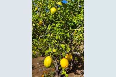 957 Skyline Drive, San Luis Obispo, CA 93405 - Photo 39