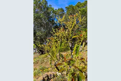 957 Skyline Drive, San Luis Obispo, CA 93405 - Photo 37