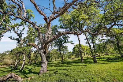 7680 Walsh, Smartsville, CA 95977 - Photo 67