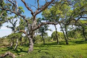 7680 Walsh, Smartsville, CA 95977 - Photo 67