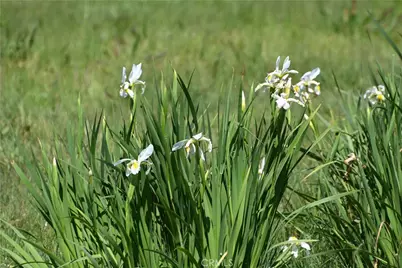 4144 Harmony Valley Road, Harmony, CA 93435 - Photo 7