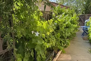 1389 Sawleaf Ct, San Luis Obispo, CA 93401 - Photo 35