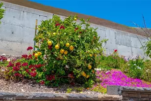 1309 Costa Brava, Pismo Beach, CA 93449 - Photo 47