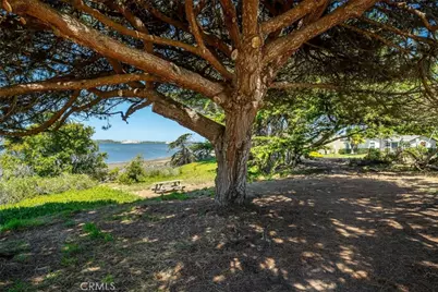 1408 3rd Street, Los Osos, CA 93402 - Photo 47