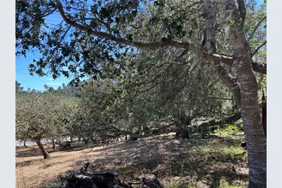 0 Pierce Avenue, Cambria, CA 93428 - Photo 3