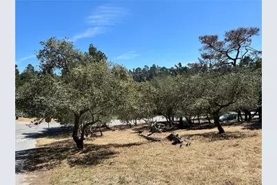 0 Pierce Avenue, Cambria, CA 93428 - Photo 5