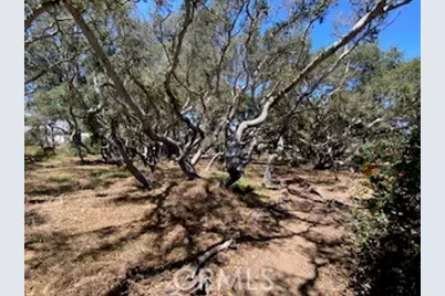 1595 Los Osos Valley #4A, Los Osos, CA 93402 - Photo 51