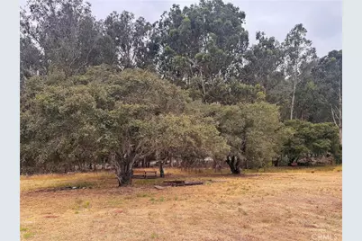 491 Hurley Ranch, Arroyo Grande, CA 93420 - Photo 29
