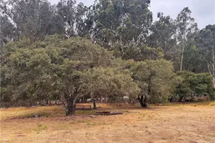 491 Hurley Ranch, Arroyo Grande, CA 93420 - Photo 29