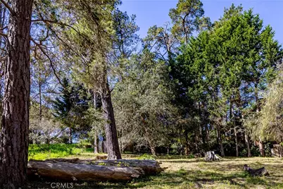 0 Spencer Street, Cambria, CA 93428 - Photo 5