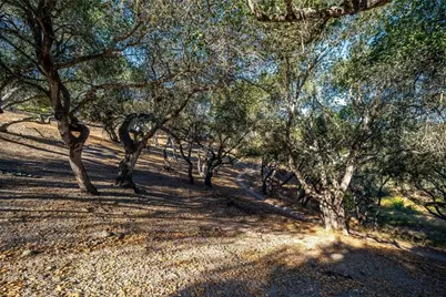 539 Palos Secos, Arroyo Grande, CA 93420 - Photo 63