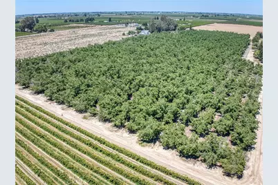 13715 E Nebraska, Kingsburg, CA 93631 - Photo 9
