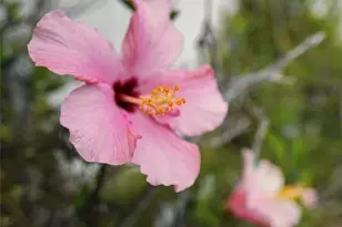90 Villa Ct, Pismo Beach, CA 93449 - Photo 43