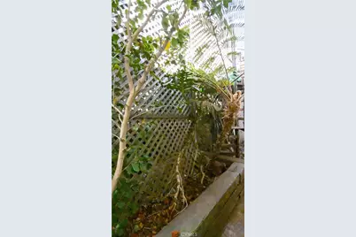 597 Park, Cayucos, CA 93430 - Photo 45