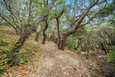 1550 Bayview Heights, Los Osos, CA 93402 - Photo 65