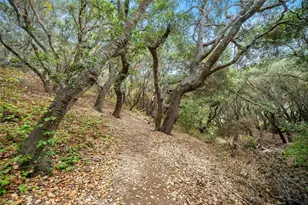 1550 Bayview Heights, Los Osos, CA 93402 - Photo 65