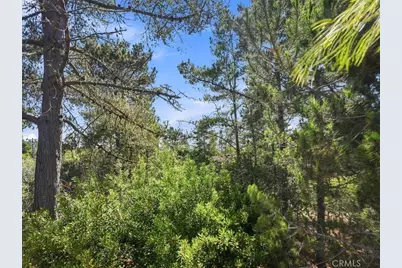 1927 Norwich, Cambria, CA 93428 - Photo 31
