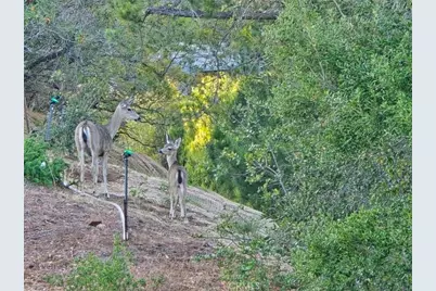 43 Buena Vista Avenue, San Luis Obispo, CA 93405 - Photo 39
