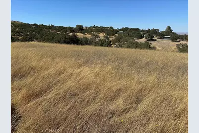 350 Robles Road, Paso Robles, CA 93446 - Photo 3