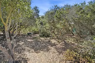 1160 Bayview Heights Dr, Los Osos, CA 93402 - Photo 39