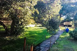 456 Squire Canyon Rd, San Luis Obispo, CA 93401 - Photo 53