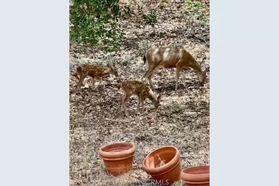 456 Squire Canyon Road, San Luis Obispo, CA 93401 - Photo 57