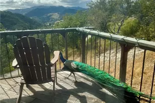 456 Squire Canyon Rd, San Luis Obispo, CA 93401 - Photo 57