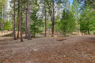 18324 Nubian Way, Nevada City, CA 95959 - Photo 63