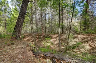 18324 Nubian Way, Nevada City, CA 95959 - Photo 69