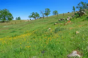 19623 Rd 211, Friant, CA 93626 - Photo 57