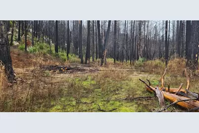 182 Gamble Road, Berry Creek, CA 95916 - Photo 3