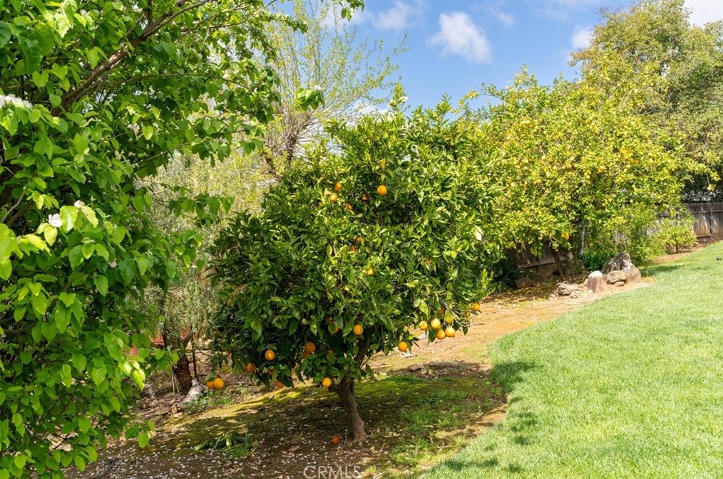 189 Cyn Highlands Dr, Oroville CA  95966-3662 exterior