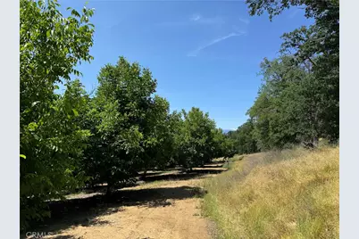 18525 Farquhar Road, Cottonwood, CA 96022 - Photo 31