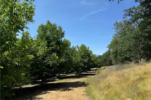 18525 Farquhar Rd, Cottonwood, CA 96022 - Photo 31