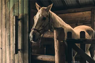 170 Wood Haven Dr, Chico, CA 95973 - Photo 61