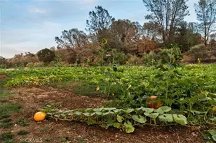 6237 Cohasset Rd, Chico, CA 95973 - Photo 13