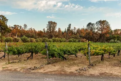 6237 Cohasset Road, Chico, CA 95973 - Photo 19