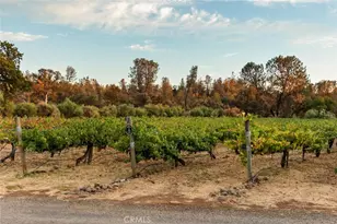 6237 Cohasset Rd, Chico, CA 95973 - Photo 19