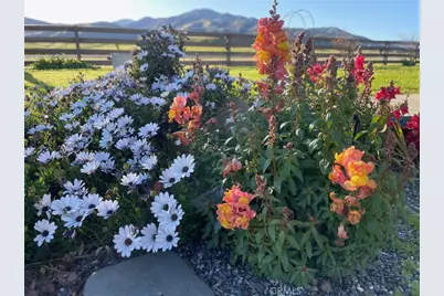 4100 County Road 306, Orland, CA 95963 - Photo 69