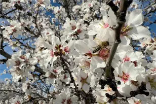 2737 House Ave, Durham, CA 95938 - Photo 37