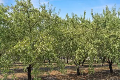 2737 House Avenue, Durham, CA 95938 - Photo 45