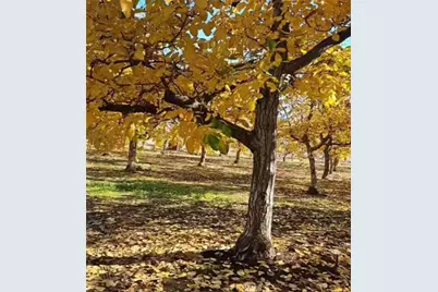 25205 5th Avenue, Los Olivos, CA 96055 - Photo 35