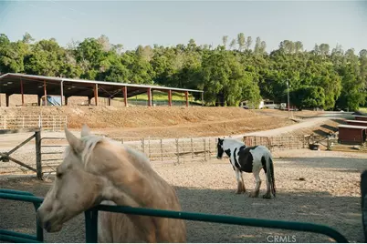 1477 Flag Creek Road, Oroville, CA 95965 - Photo 11