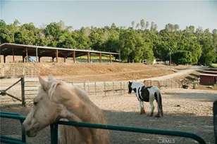 1477 Flag Creek Rd, Oroville, CA 95965 - Photo 11