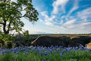 1477 Flag Creek Rd, Oroville, CA 95965 - Photo 71